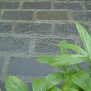 Kota Black (40-60mm) Cobble Setts